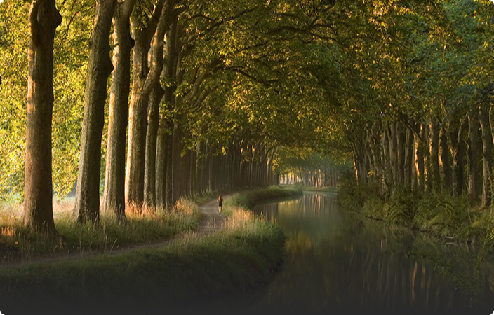 Climat