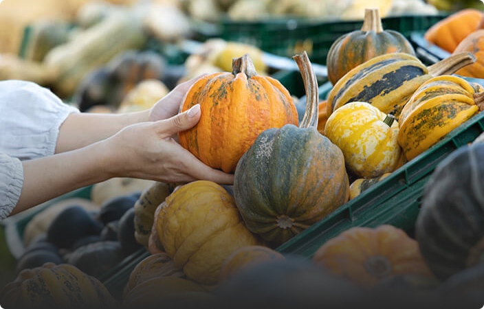 Sécurité et souveraineté alimentaire